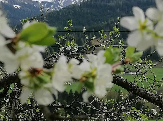 Weissacher Apartament Lend