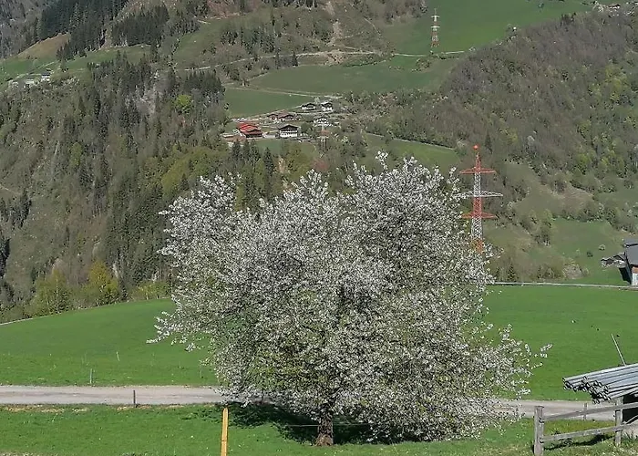 Apartament Weissacher *